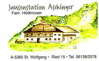www.stwolfgang.at_sitesaschinger